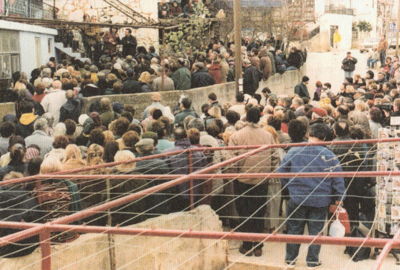 Les pèlerins à Bijakovici, le village des voyants.